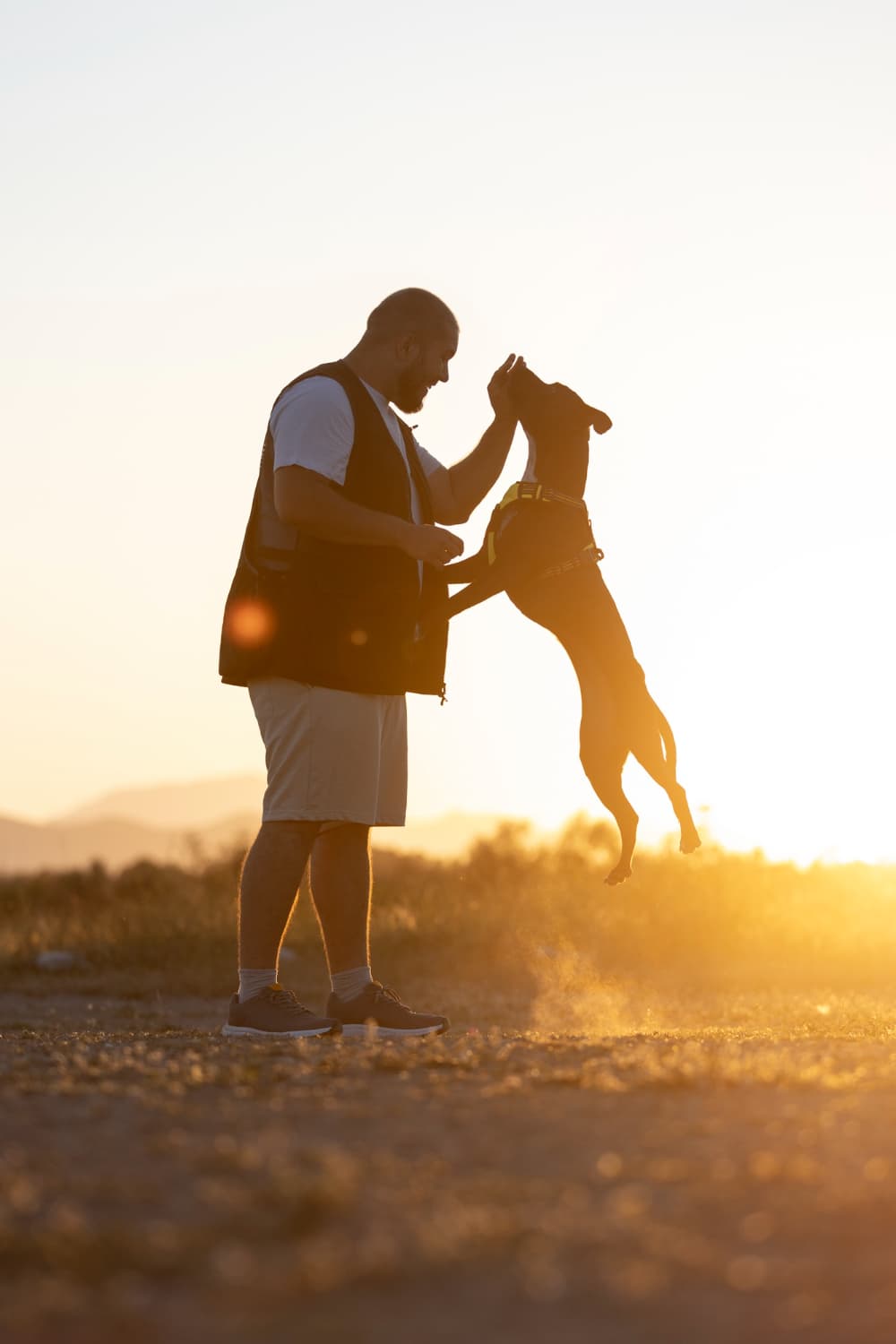 Person with dog at sunset